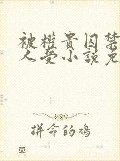 被权贵囚禁的美人受小说免费阅读下