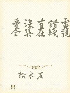 爱没有错电视剧全集在线观看24集