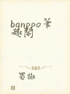 bgnppo笔趣阁封面