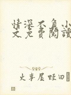 情深不负小说全文免费阅读