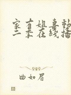 家有姐妻动漫第二季在线播放最新章