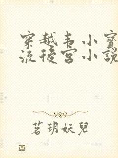 穿越韦小宝之风流后宫小说