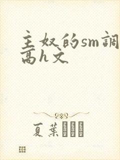 主奴的sm调教高h文