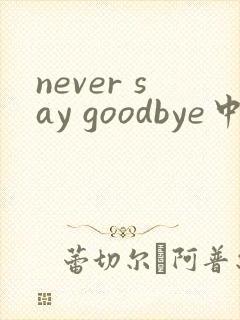 never say goodbye中文谐音歌词