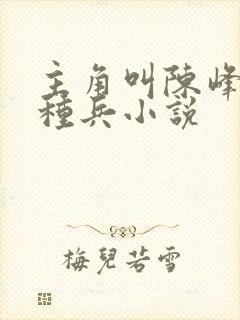 主角叫陈峰的特种兵小说