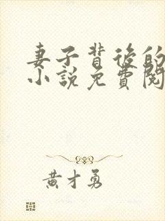 妻子背后的秘密小说免费阅读