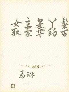 女主是丫鬟被强取豪夺的古言