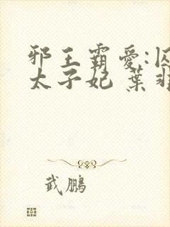 邪王霸爱:囚情太子妃 叶非夜