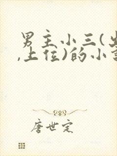 男主小三(出轨,上位)的小说