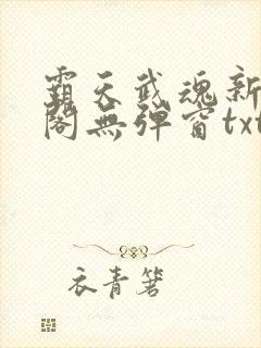 霸天武魂新笔趣阁无弹窗txt