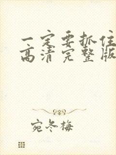 一定要抓住电影高清完整版在线观看