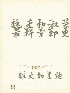 魏老和淑荣小说最新章节更新