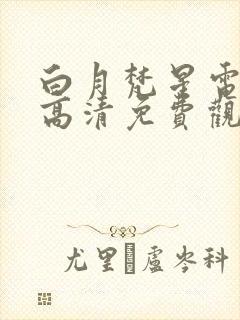 白月梵星电视剧高清免费观看全集