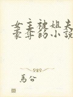 女主被姐夫强取豪夺的小说