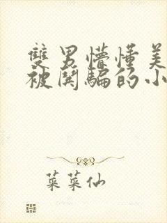 双男懵懂美人受被哄骗的小说