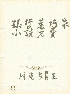 孙哲叶巧朱颜的小说免费