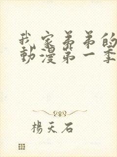 我家弟弟的超棒动漫第一季免费观看