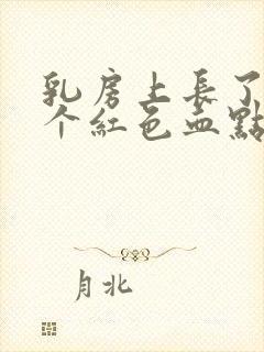 乳房上长了好几个红色血点