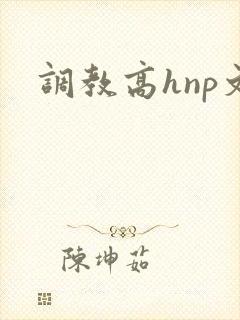 调教高hnp文