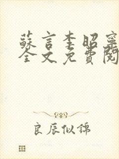 苏言李昭宁小说全文免费阅读封面