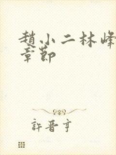 赵小二林峰最新章节