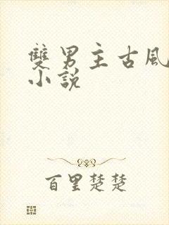 双男主古风言情小说