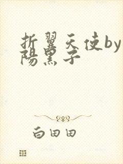 折翼天使by太阳黑子封面