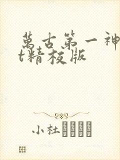 万古第一神txt精校版