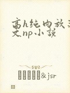 高h纯肉放荡h文np小说封面