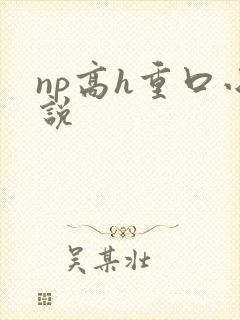 np高h重口小说