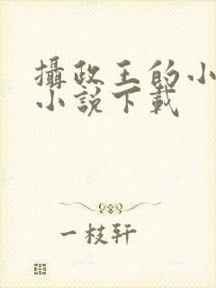 摄政王的小闲妻小说下载封面