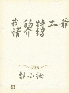 我的特工爷爷剧情介绍封面