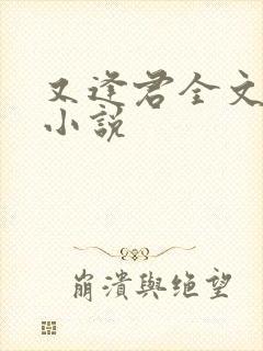 又逢君全文阅读小说封面