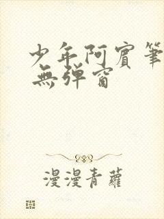 少年阿宾笔趣阁 无弹窗