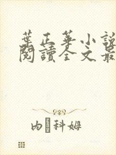 叶正华小说免费阅读全文最新章节更