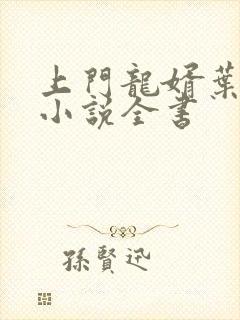 上门龙婿叶辰的小说全书