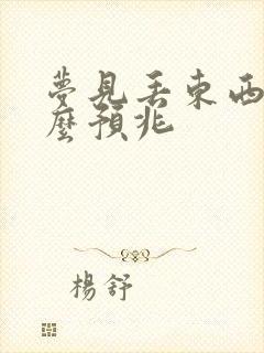 梦见丢东西是什么预兆封面