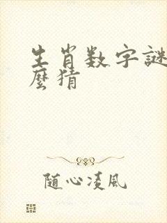 生肖数字谜语怎么猜