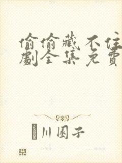 偷偷藏不住广播剧全集免费封面