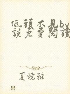 低头不见by小说免费阅读封面