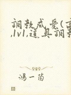 调教成爱(高h,1v1,道具调教)