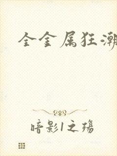 全金属狂潮小说