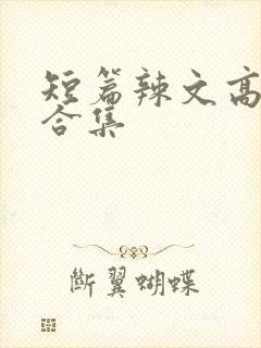 短篇辣文高h文合集