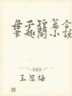 母子短篇合集_笔趣阁小说封面