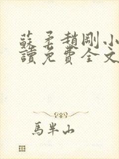 苏柔赵刚小说阅读免费全文封面