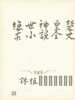 绝世神皇楚枫苏柔小说全文免费阅读