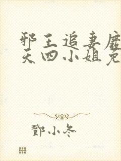 邪王追妻废材逆天四小姐免费阅读全文