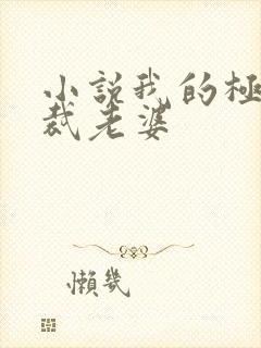 小说我的极品总裁老婆