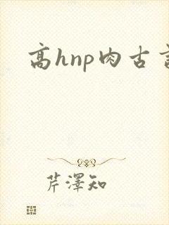 高hnp肉古言