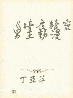 《暗夜精灵》双男主动漫